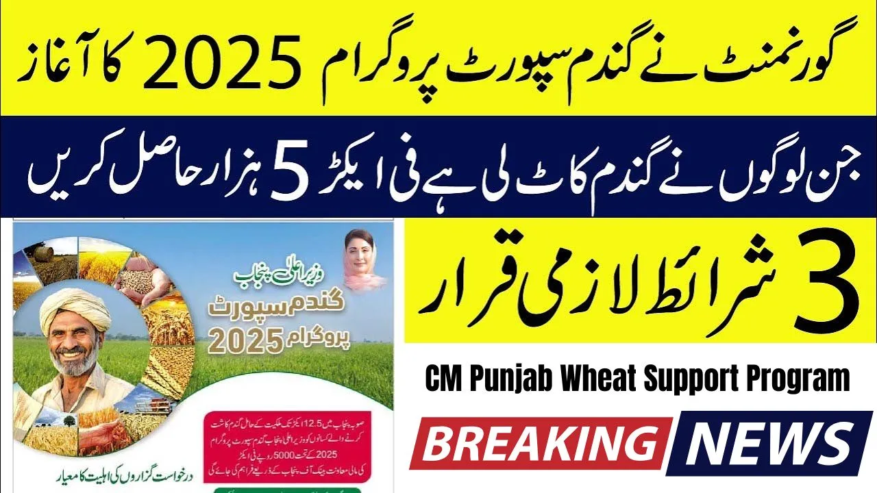 CM Punjab Wheat Support Program 2025 Online Registration and Get Rs 5000 Per Acre (Complete Guide)