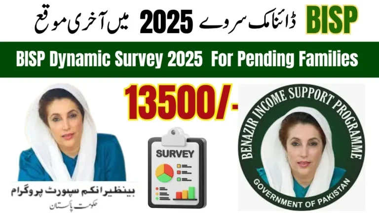 BISP Dynamic Survey June 2025 Last Chance For Pending Families In Selected Districts