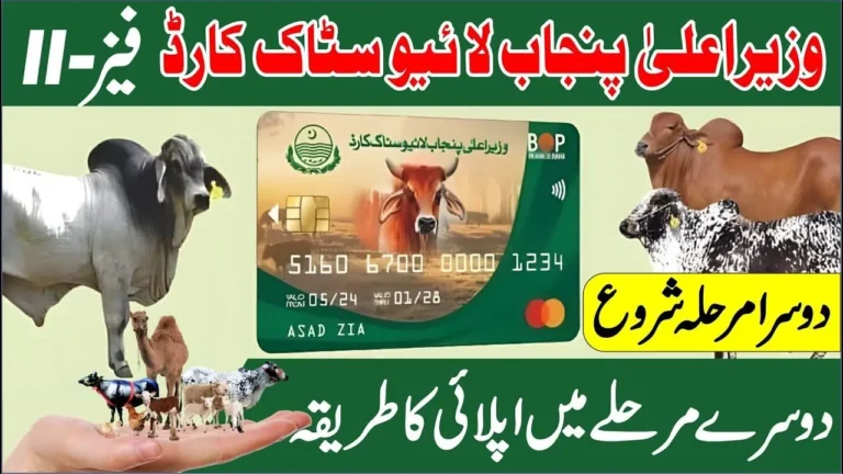 Last Date to Apply for the Punjab Livestock Card Scheme for Phase 2