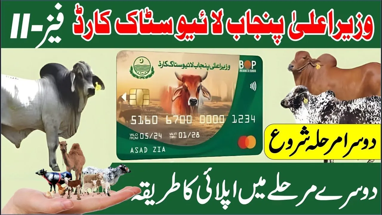 Last Date to Apply for the Punjab Livestock Card Scheme for Phase 2